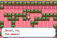 Pokémon Crystal Dust