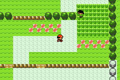 Pokémon Fire Red Minus