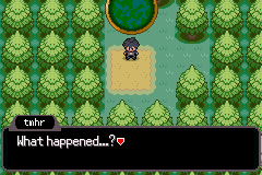 pokemon shadow realm