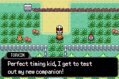 pokemon shadow realm