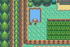 pokemon yellow chapter