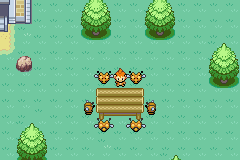 Pokeland 0