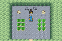 Pokeland 0