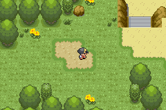 Pokémon Diabound