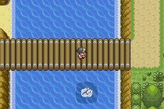 Pokémon Diabound