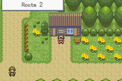 Pokémon Diabound