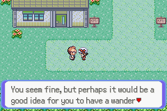 Pokémon Emerald Rogue