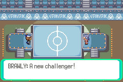 Pokémon Emerald Rogue