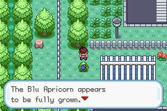 Pokémon Kairos