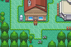Pokémon Lilca