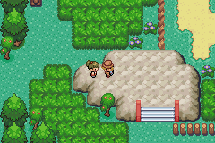 Pokémon Lilca 11