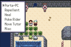 Pokémon Null