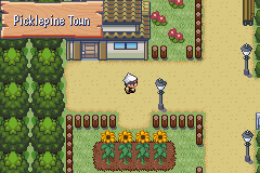 Pokémon Paragon