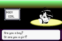 Pokémon Phantom Order