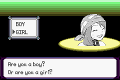 Pokémon Phantom Order