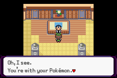 Pokémon Phantom Order