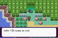 Pokémon Phantom Order