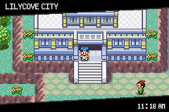 Pokémon Too Many Types 2 01