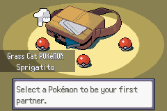 Pokémon Too Many Types