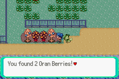 Pokémon Too Many Types