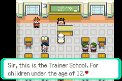 Pokémon Too Many Types