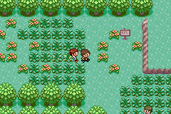 Pokémon Vanadium
