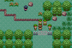 Pokémon Vanadium