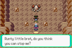 Pokémon Wally Quest