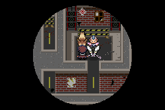 pokemon hoeen last wish