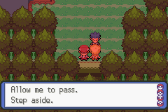 pokemon sinnoh legacy