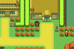 Pokémon Ash Hoenn