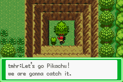 Pokémon Ash Hoenn