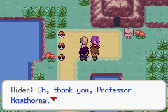 Pokémon Amethyst