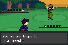 Pokémon Amethyst