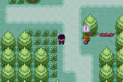 Pokémon Amethyst