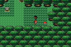 Pokémon Crystal Kanto