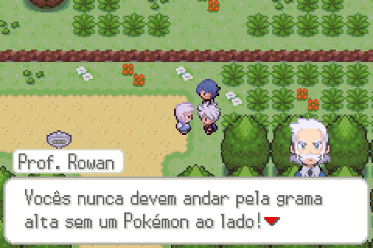 Pokémon Dark Worship 2