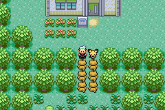 Pokemon Emerald Extended Cut