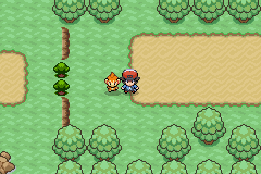 Pokémon Fluvio