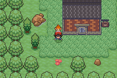 Pokémon Fluvio