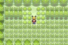 Pokémon Ash Johto
