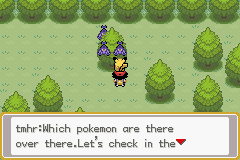 Pokémon Ash Johto