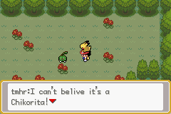 Pokémon Ash Johto