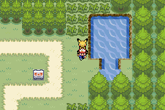 Pokémon Ash Johto
