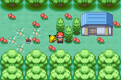 Pokémon Classic