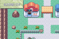 Pokemon Crippling Medical Debt 07