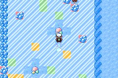 Escape From Shuckle Island