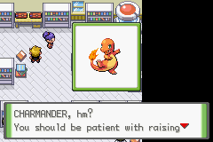Pokémon Rijon Adventures 06