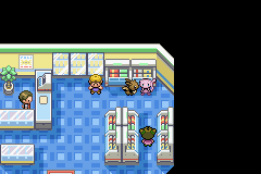 Pokémon Oops All Eevees