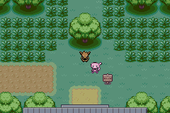 Pokémon Oops All Eevees